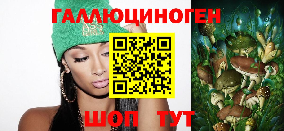 Псилоцибиновые грибы GOLDEN TEACHER Краснознаменск